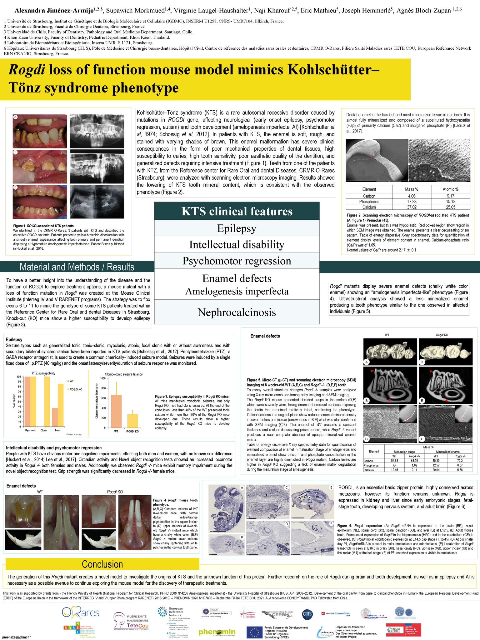 100323 AlexandraJIMENEZ ROGDI POSTER JIR