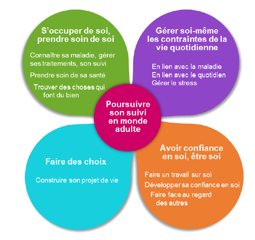 Image Guide 5 dimensions transition