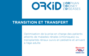 Image programme transition OrKid