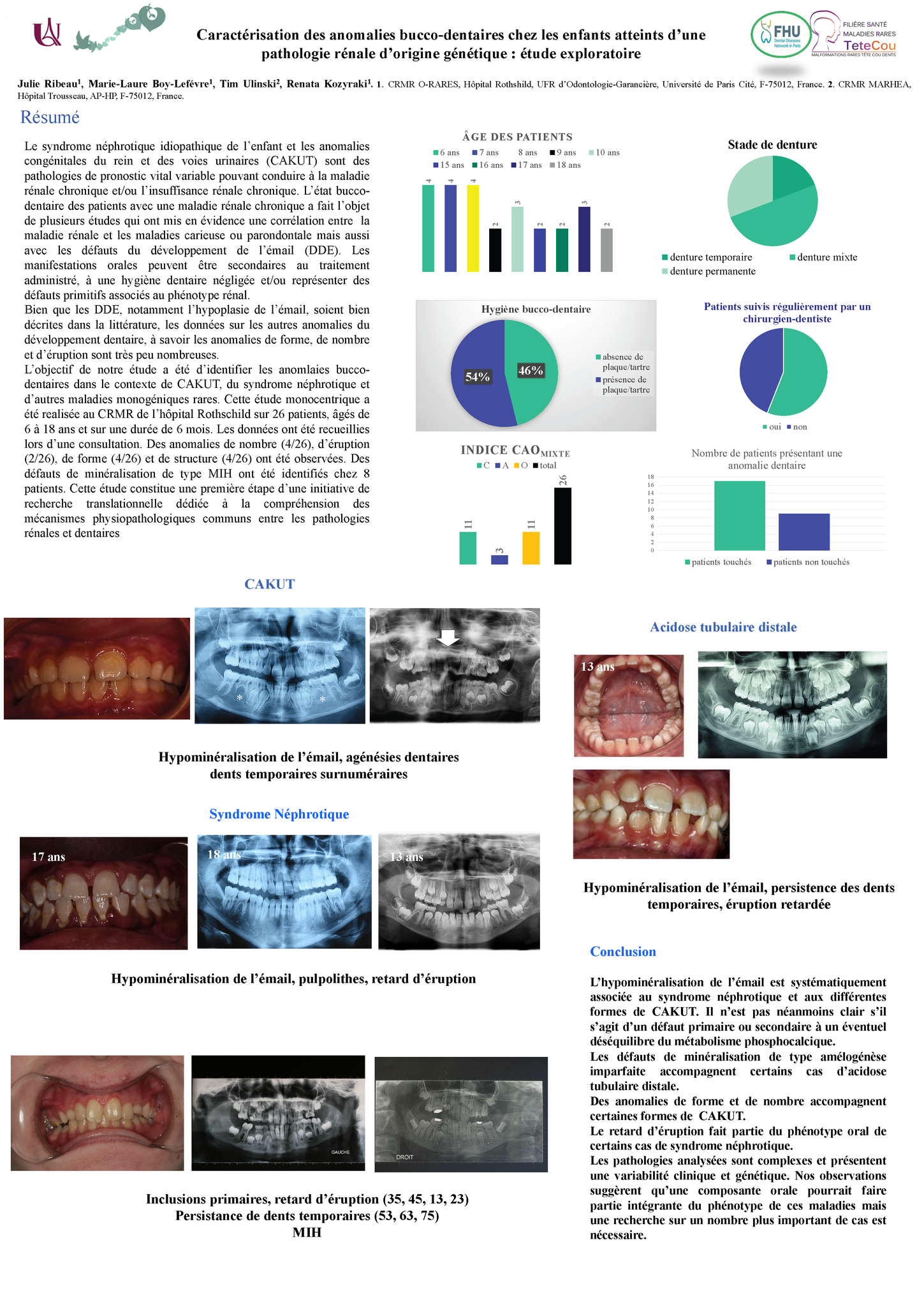 Poster Ribeau Kozyraki TETECOU