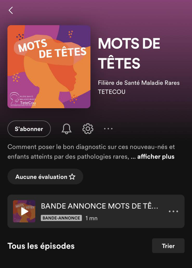 Visuel Spotify Mots de têtes
